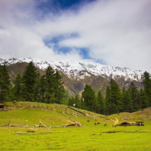 listing-details-carousel